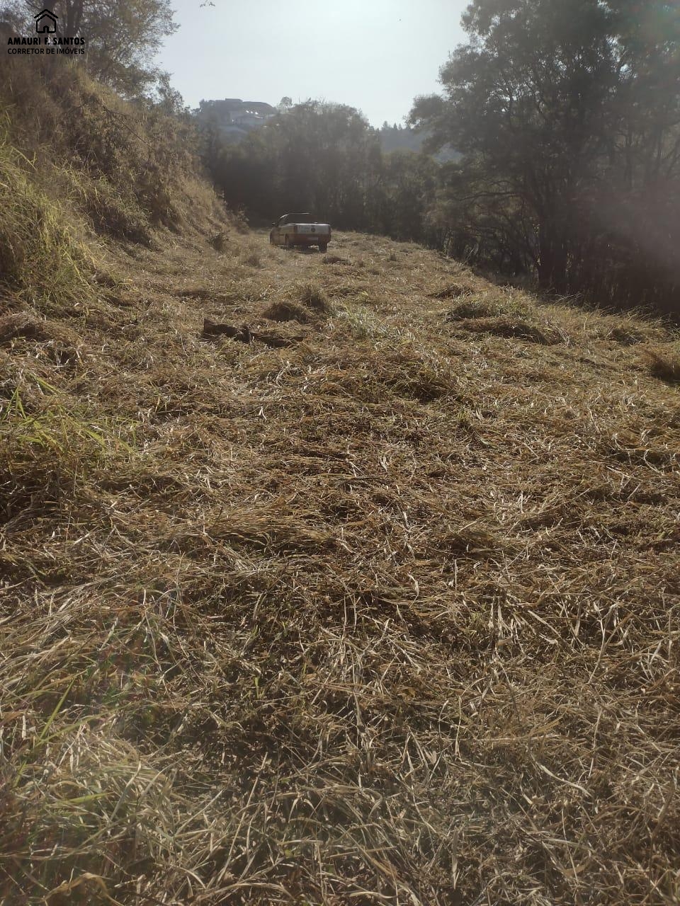 Condomínio em , São Roque - Foto 5